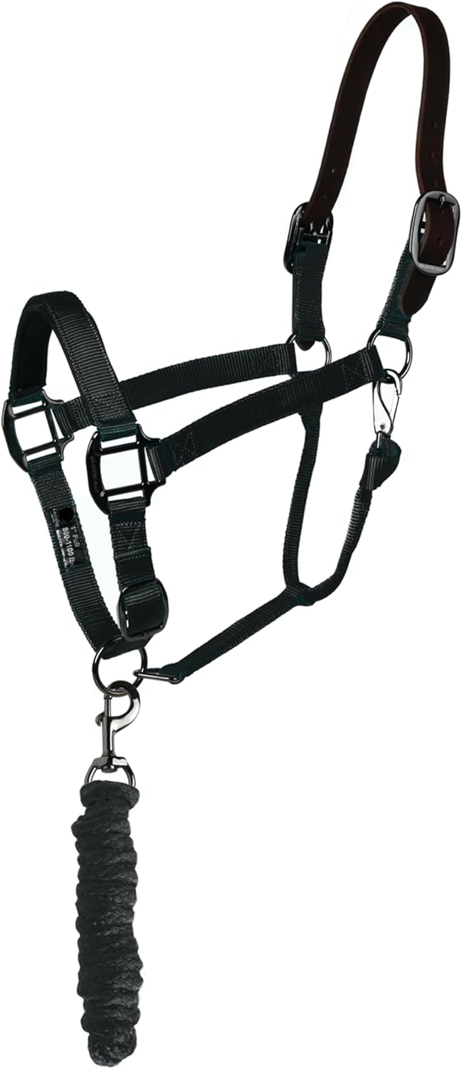 Majestic Ally Leather Halter with Matching Lead Rope for Horses – Leather Breakaway Crown - Adjustable Chin Strap – Rolled Throat Latch – Padded Noseband – Full (Black-Black Nickel, Full)