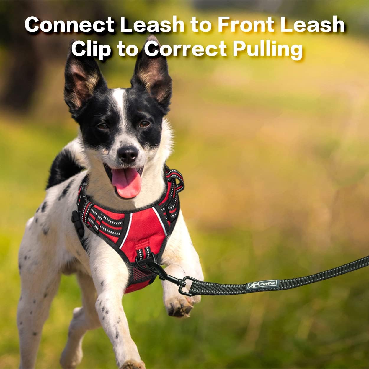 PoyPet No Pull Dog Harness, No Choke Front Clip Reflective Dog Vest with Soft Padded Vertical Handle, 3 Leash Attachments for Small Medium Large Dogs (Red,S)