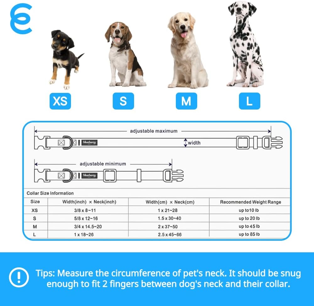 Blueberry Pet Essentials Matching Large Dog Collar | Adjustable Classic Solid Color Nylon Dog Collars for Large Dogs | Rouge Red Dog Collar for Large Dogs