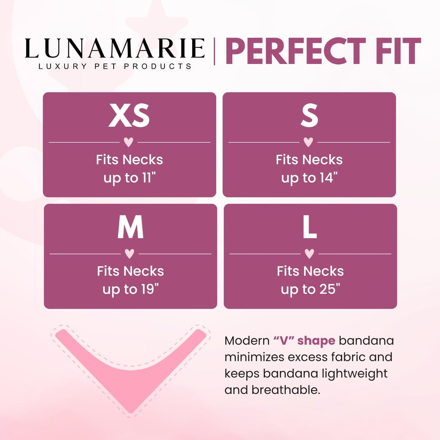 LunaMarie - Luxury Pet Birthday Bandanas -Premium & Silky Poly Fabric | 100% Handmade | Custom Shape Dual Layered (Pawsport Club, Large)