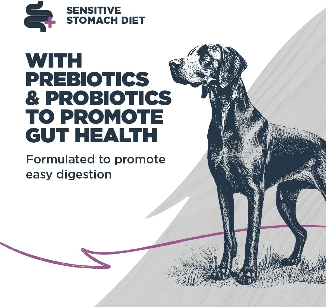 Blackwood Sensitive Skin & Stomach Dry Dog Food, Salmon Meal & Brown Rice with Ancient Grains, 24 Pound Bag with Prebiotics & Probiotics to Promote Gut Health