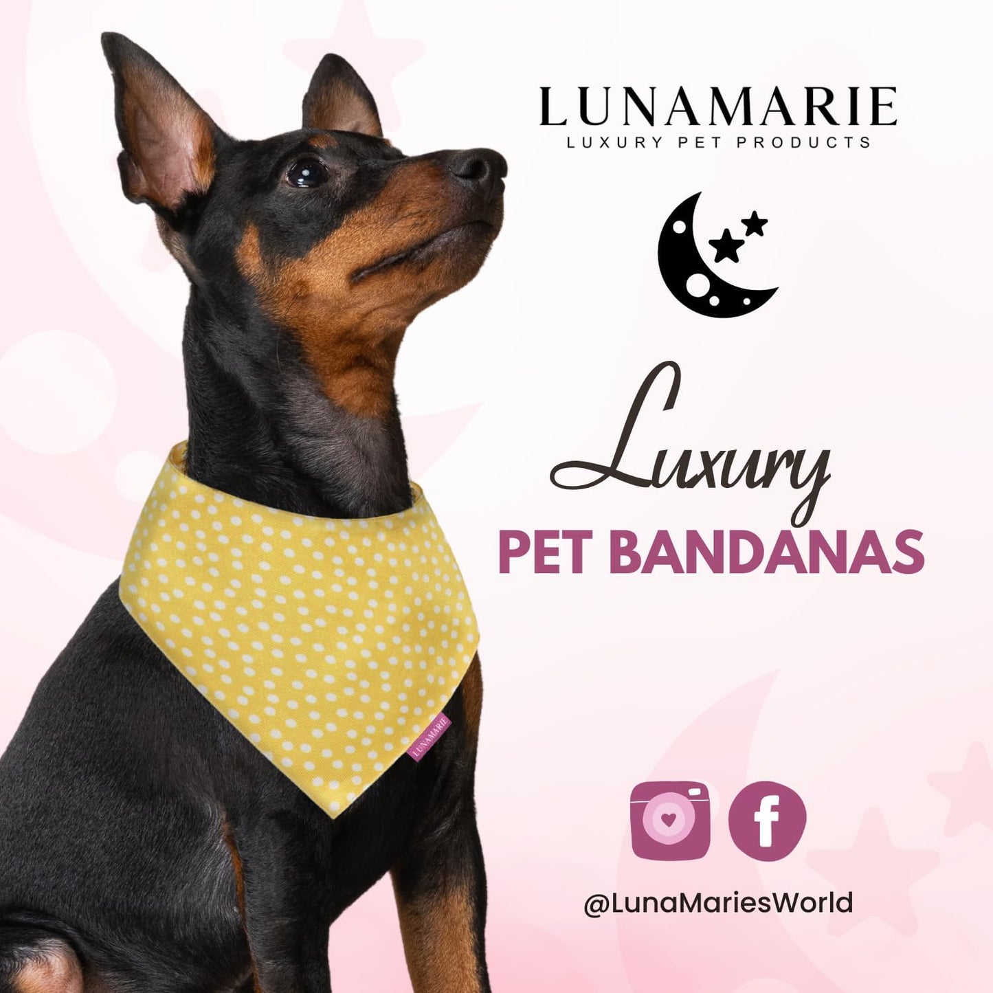 LunaMarie - Luxury Dog Bandanas - Puppy Bandanas Cat Accessories | Premium & Silky Fabric | 100% Handmade Quality | Custom Shape Dual Layered Reversible Small, Medium, Large Cat Scarf (Sophie, Medium)