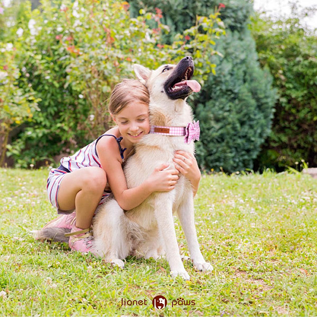 Lionet Paws Dog Collar with Bowtie, Comfortable Adjustable Cute Pink Gingham Bow Tie Collar for Female Puppies and Cats Gift, XXS, Neck 7-11 inches