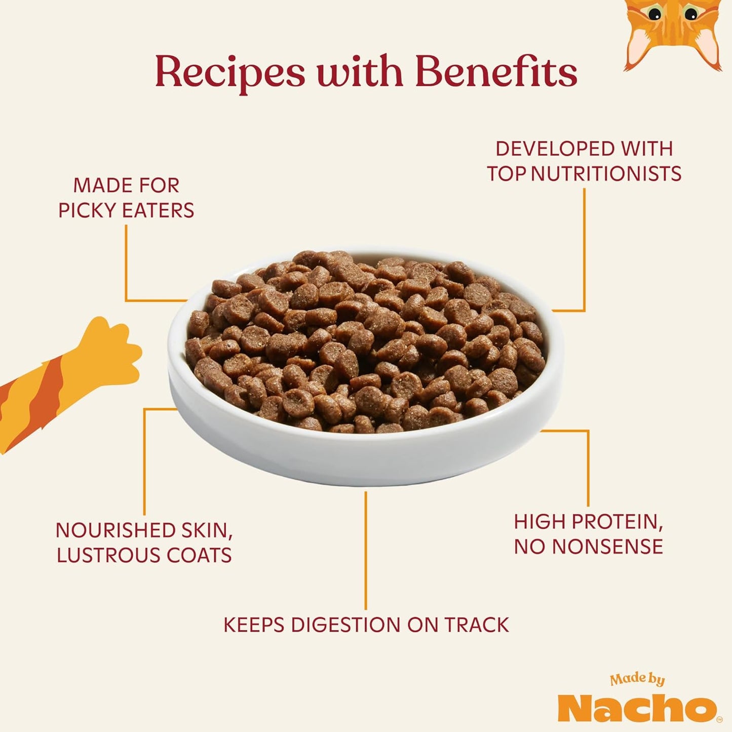 Made by Nacho Kitten Dry Kibble Infused with Bone Broth, Healthy High Protein Cat Food, Cage-Free Chicken and Chicken Liver, 4lb Bag