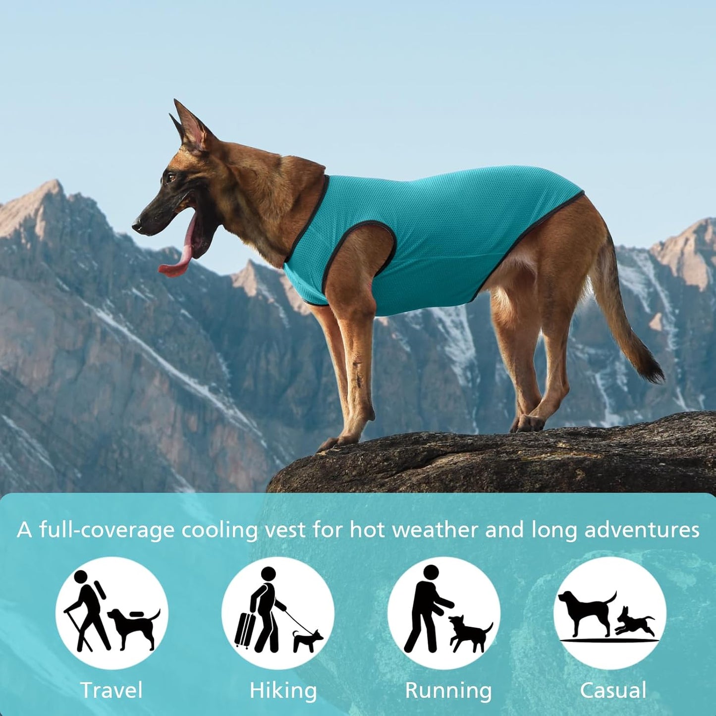 2 Pack Cooling Shirts for Dogs, Lightweight Mesh Breathable Dog Clothes for Large Dogs Boy Girl,Sports Fan Pet T-Shirts for Dog&Cat Puppy Vest Pet Apparel - XXL