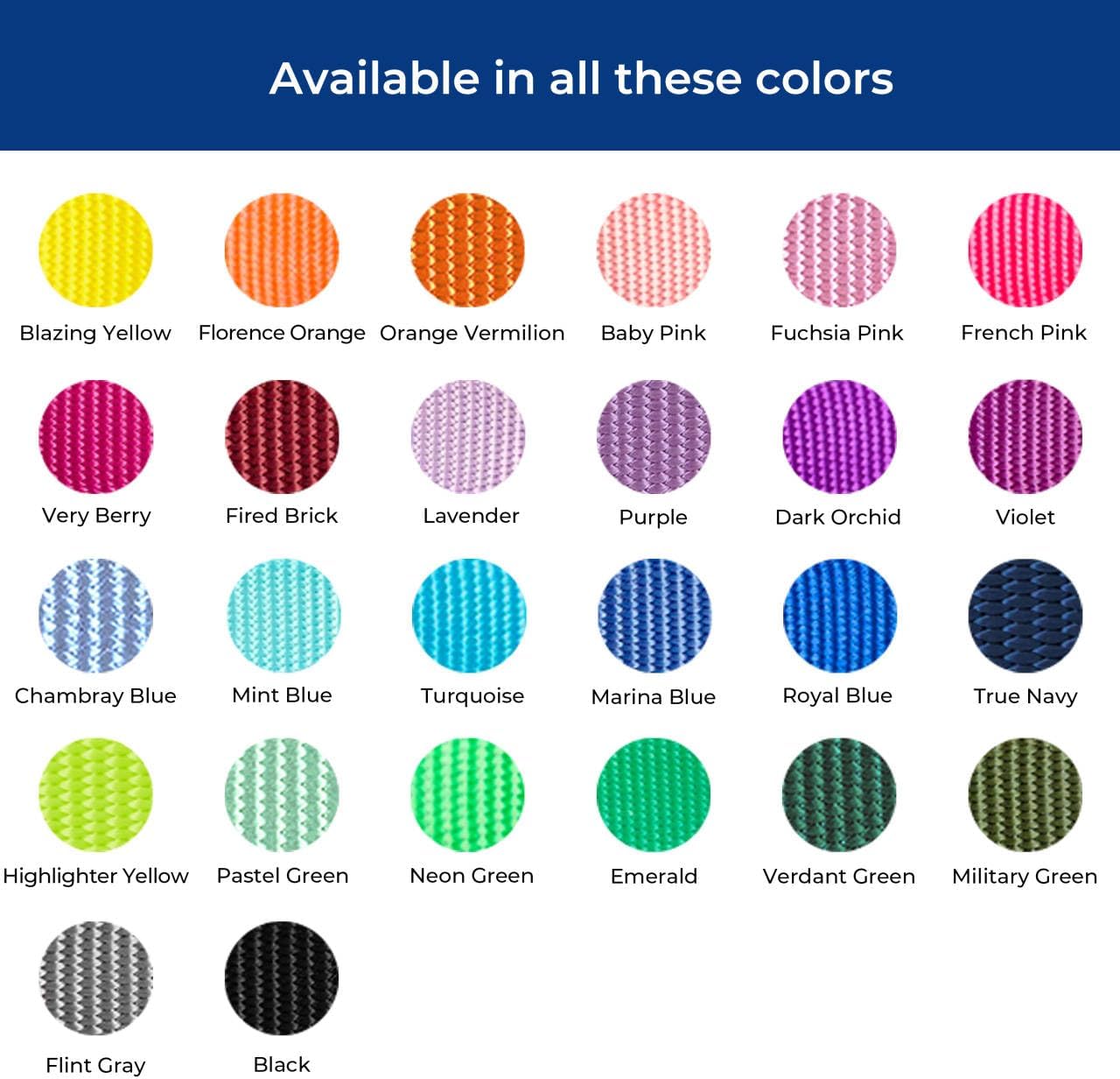 Blueberry Pet Essentials Medium Dog Collar in Emerald | Adjustable & Eco-Friendly Durable Nylon Strap | Classic Collar for Medium Dogs, Boy & Girl Pets