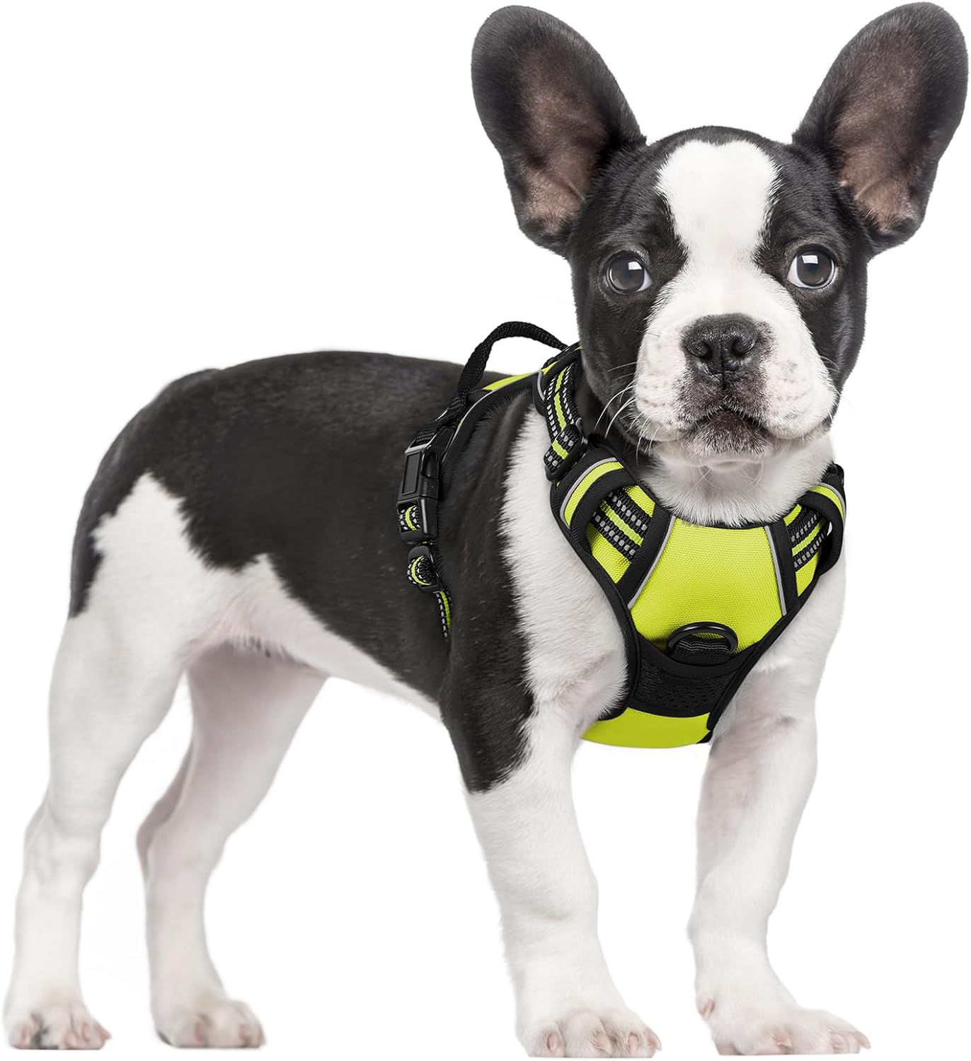 rabbitgoo Dog Harness No Pull with 2 Leash Clips, Adjustable Soft Padded, Reflective Oxford No Choke Pet Vest with Easy Control Handle for Small Dogs, Wild Lime,S