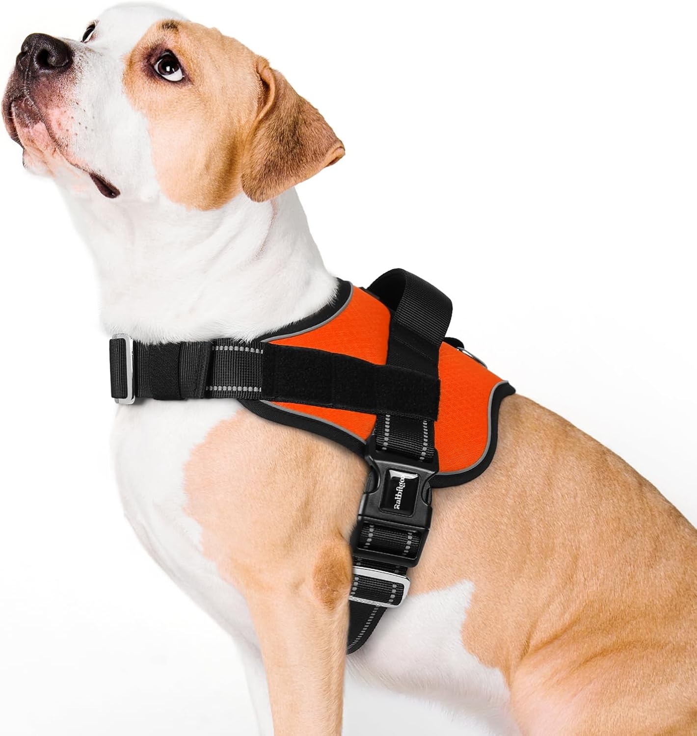 rabbitgoo Dog Harness for Large, Easy On Pet Vest with One Buckle, No Pull Adjustable Service Harness with D-Ring & Handle, Reflective for Safety Walking, Training, Orange, L