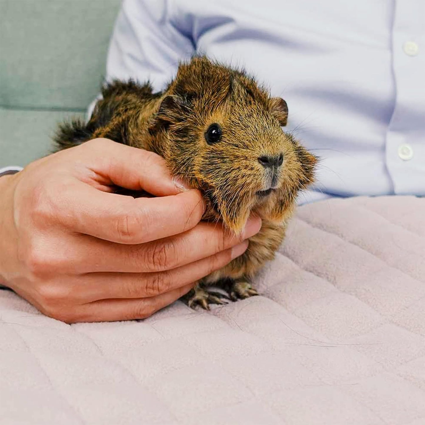 GuineaDad Premium Liner – Fleece Guinea Pig Cage Liner – Ultra-Plush Reusable Fleece Bedding with Waterproof Bottom – (Blush)