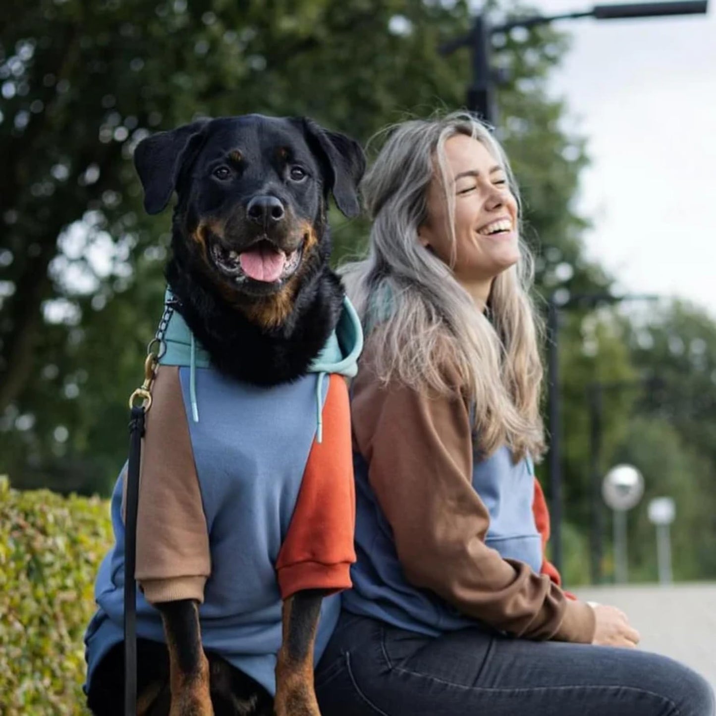 Spark Paws Dog Hoodie – Premium Dog Sweater for Small, Medium, and Large Dogs | Warm Outfits for French Bulldogs, Pitbull, Puppy, Winter Jacket Alternative - Alpine - 2XL