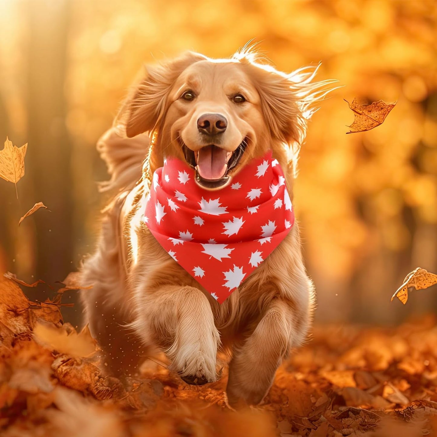 Weewooday 50 Pcs Fall Dog Bandanas Bulk for Dogs Thanksgiving Soft Bibs Adjustable Triangle Pet Bandana for Small Medium Large Costume(Leaves Pattern, 25.6 x 17.7 x 17.7 Inch)