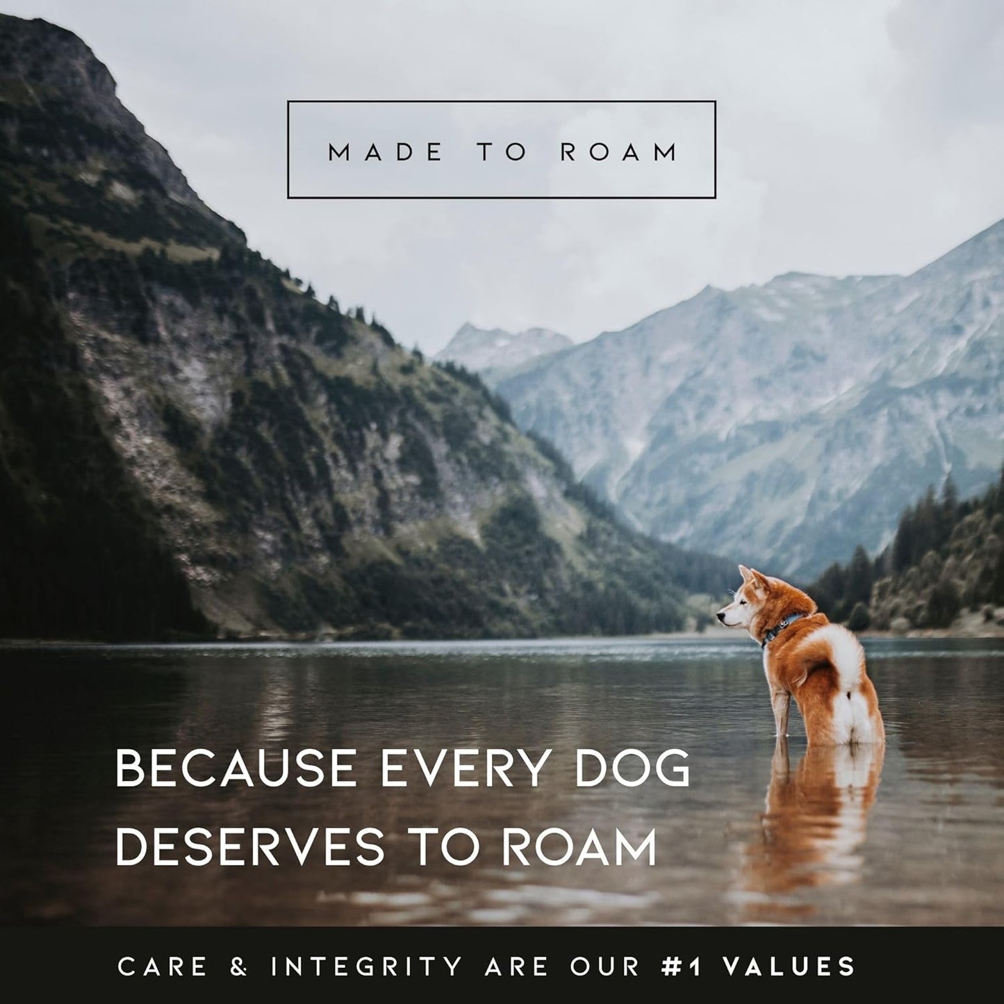 MADE TO ROAM Premium Explorer Harness - Y-Shaped Dog Harness with Adjustable Durable Nylon, Soft Padding, Metal Buckles and Leather Handle for Small, Medium, Large Dogs (Montana Moonrise, Size 7)