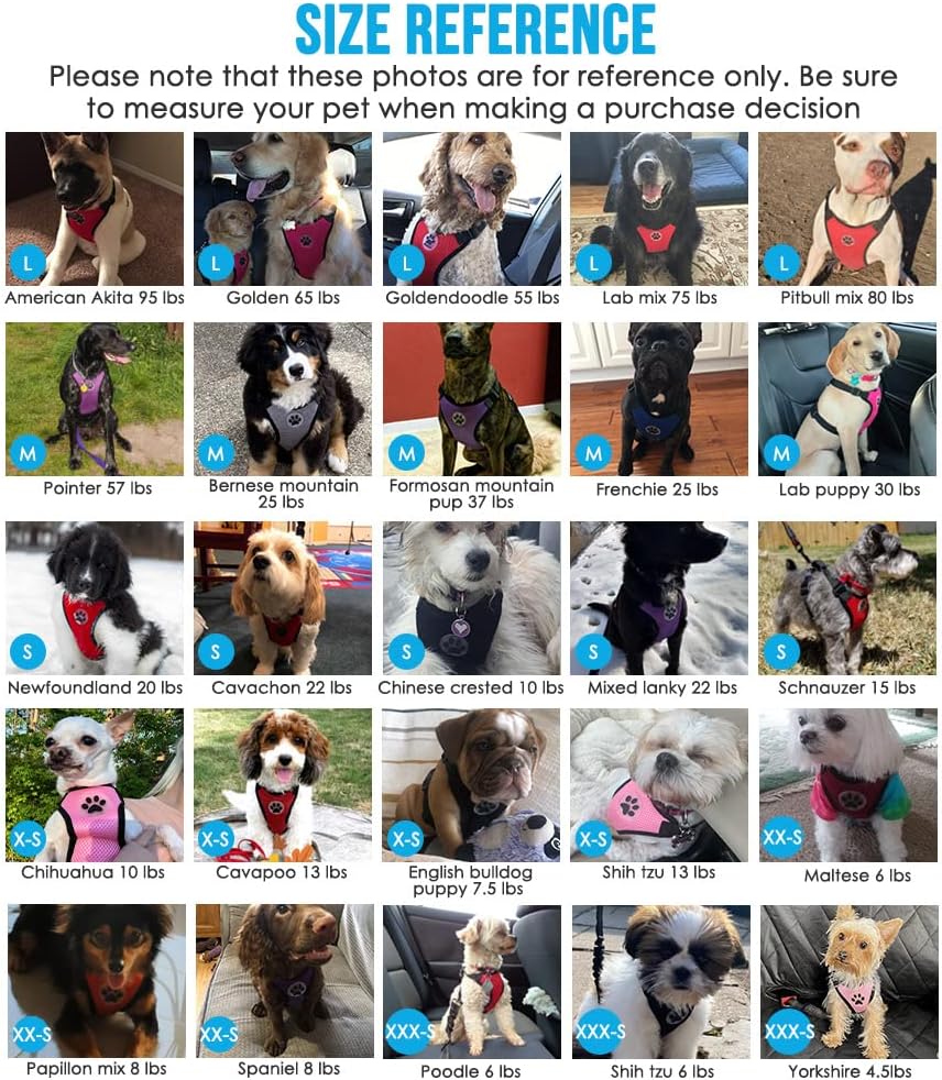 Lukovee Dog Seat Belt - Adjustable Dog Car Harness for Large, Medium & Small Dogs, Soft Padded & Breathable Mesh Dog Seatbelt with Car Vehicle Connector Strap (Black, XX-Small)