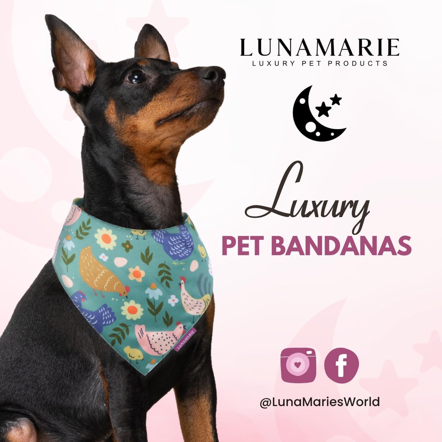 LunaMarie - Luxury Pet Birthday Bandanas -Premium & Silky Poly Fabric | 100% Handmade | Custom Shape Dual Layered (Chicken Couture, Large)