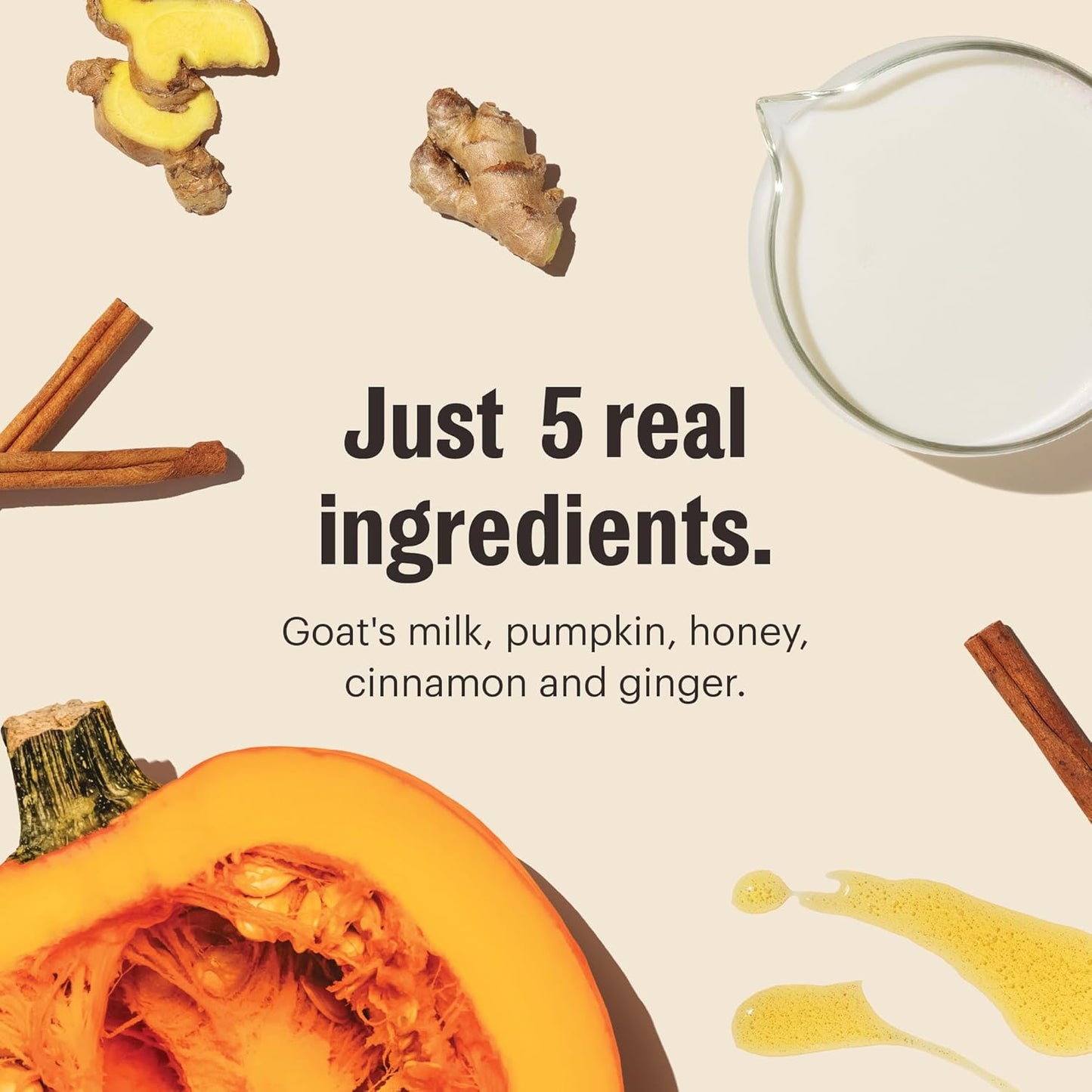 The Honest Kitchen Pumpkin Spice Latte, 4oz Canister