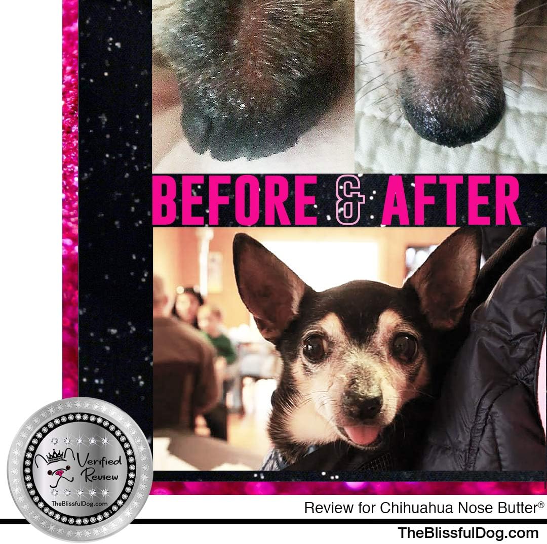 The Blissful Dog Smooth Coat Chihuahua Nose Butter for Dry, Cracked Skin, Lick-Safe Dog Nose Balm with Moisturizing Shea Butter, Almond, Olive, and Essential Oils, Pet Supplies, Uncented, 8 oz.