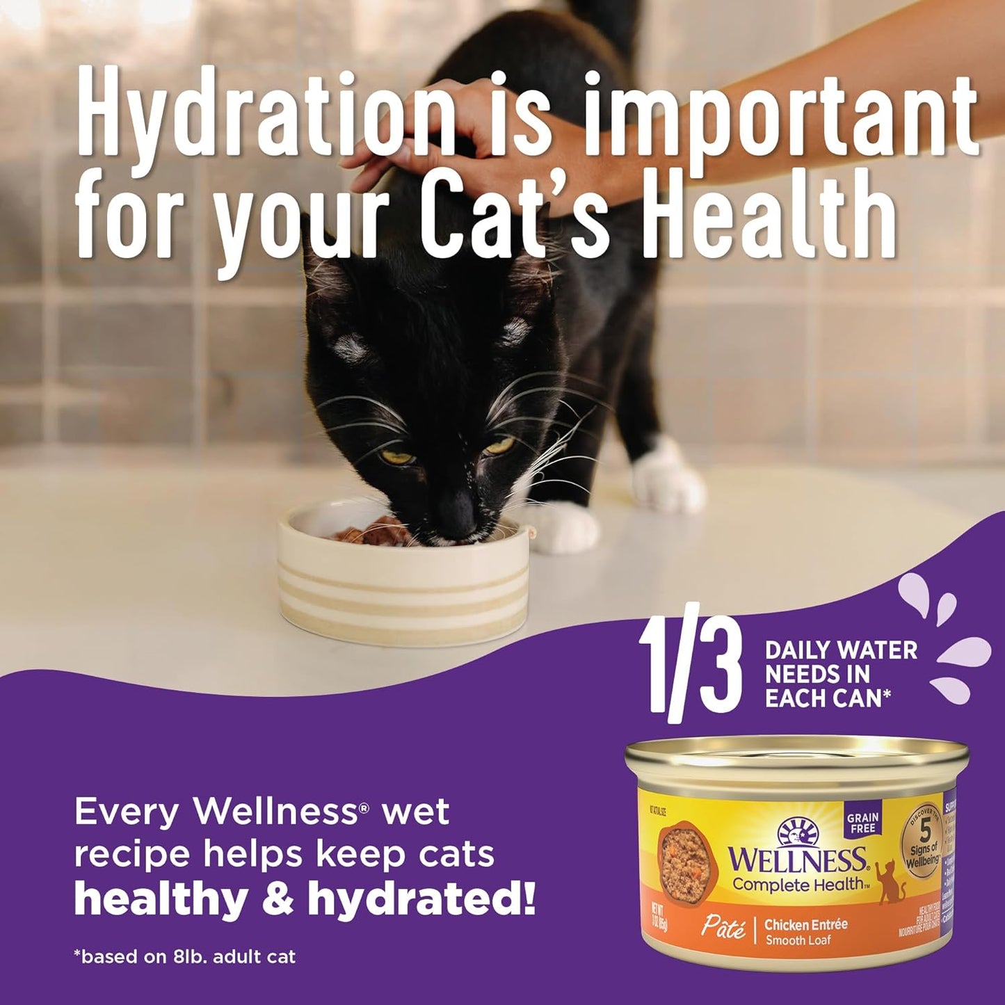 Wellness Complete Health Gravy Adult Wet Cat Food, Natural, Protein-Rich, Grain Free, 3 Ounce, 12 Pack, (Turkey Dinner)
