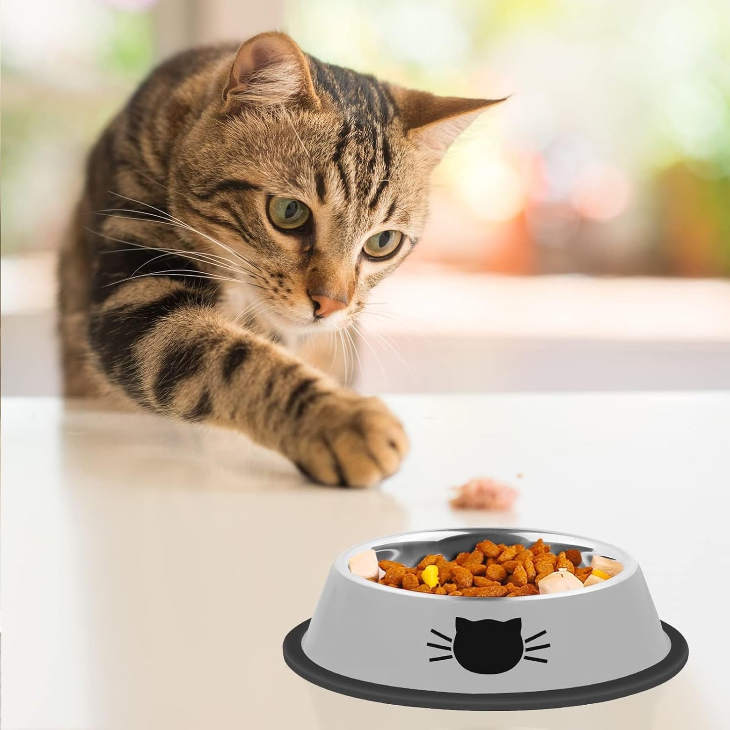 2 Pcs Non-Slip Stainless Steel Small Cat Food Bowls - Unbreakable, 7 Oz, Removable Rubber Base, Easy to Clean, Lovely Color