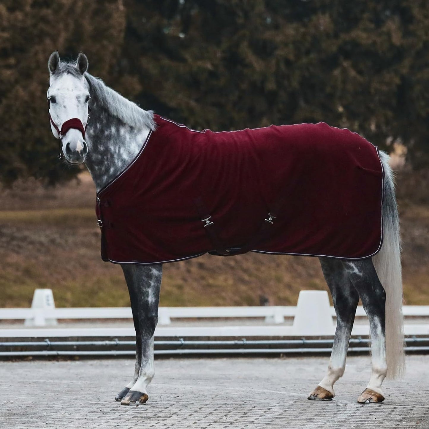 HORZE Kiel Adjustable Horse Halter with Fleece Padding - Dark Red - Cob