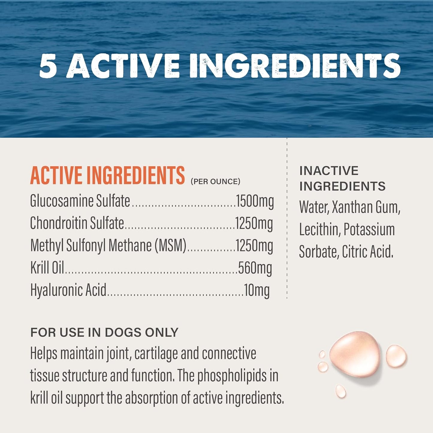 GRIZZLY PET PRODUCTS Joint Aid for Dogs Liquid Hip and Joint Support (Extra Strength), 16 fl oz