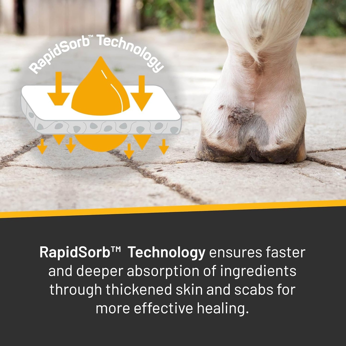 Silver Honey Rapid Relief 6oz Spray for Horses Only, Use on Equine Scratches / Pastern Dermatitis / Mud Fever / Dew Poisoning / Cracked Heels