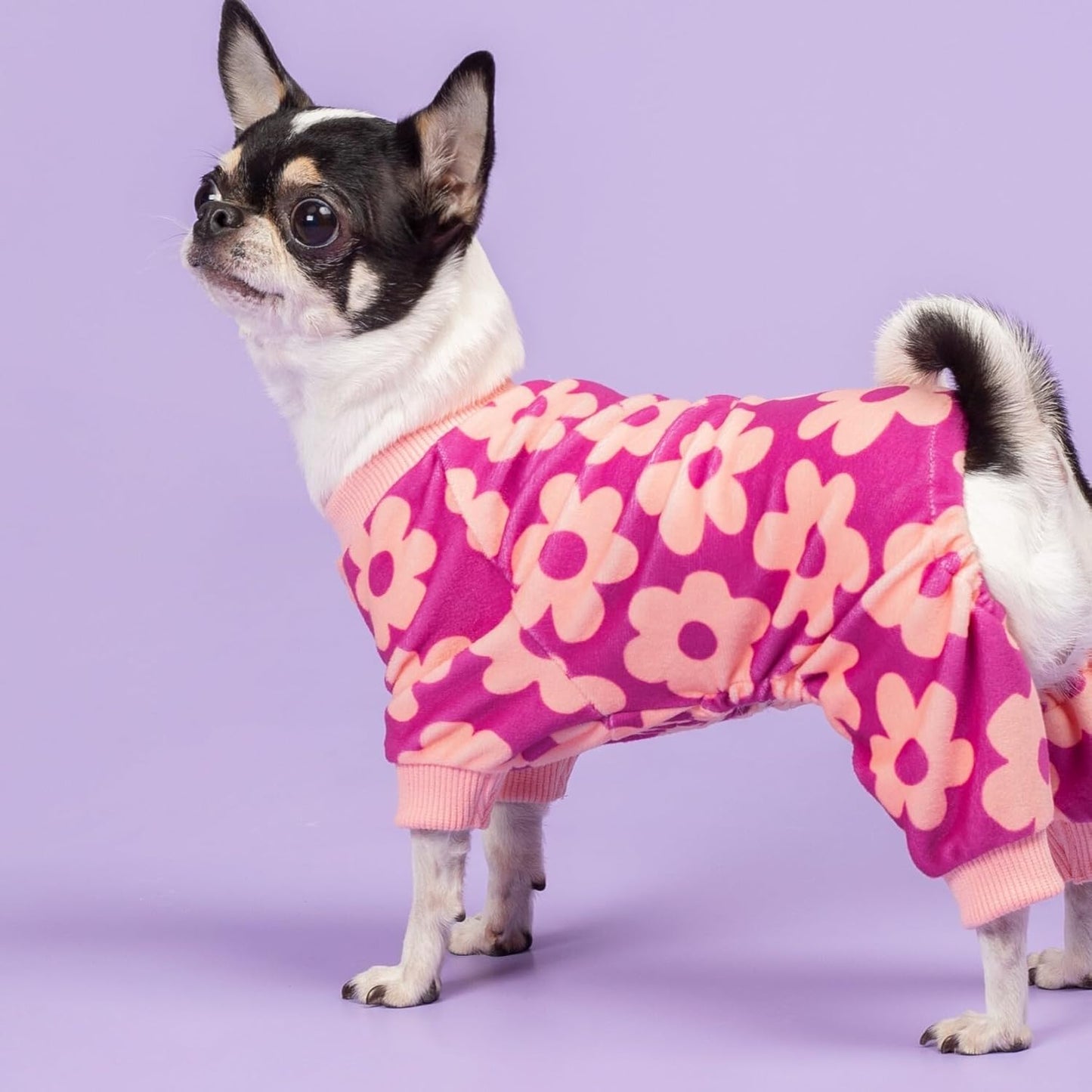 Fitwarm Flower Fleece Dog Pajamas, Warm Winter Dog Clothes for Small Dogs Girl, Cozy Pet Onesie with Feet, Pink, Small