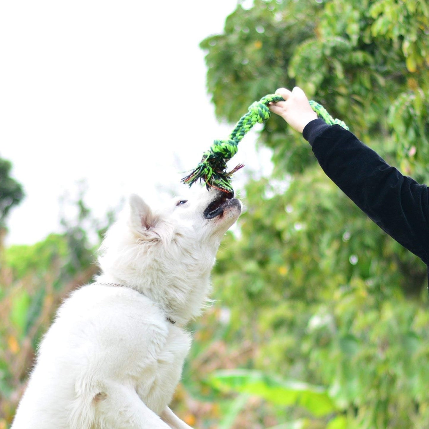 SHARLOVY Dog Toys for Large Dogs and Aggressive Chewers, Indestructible XL Durable Dog Toy,5-Knot Rope Tug,Heavy Duty Chew Sturdy Cotton Knot Rope Toy for Large Breed Dogs