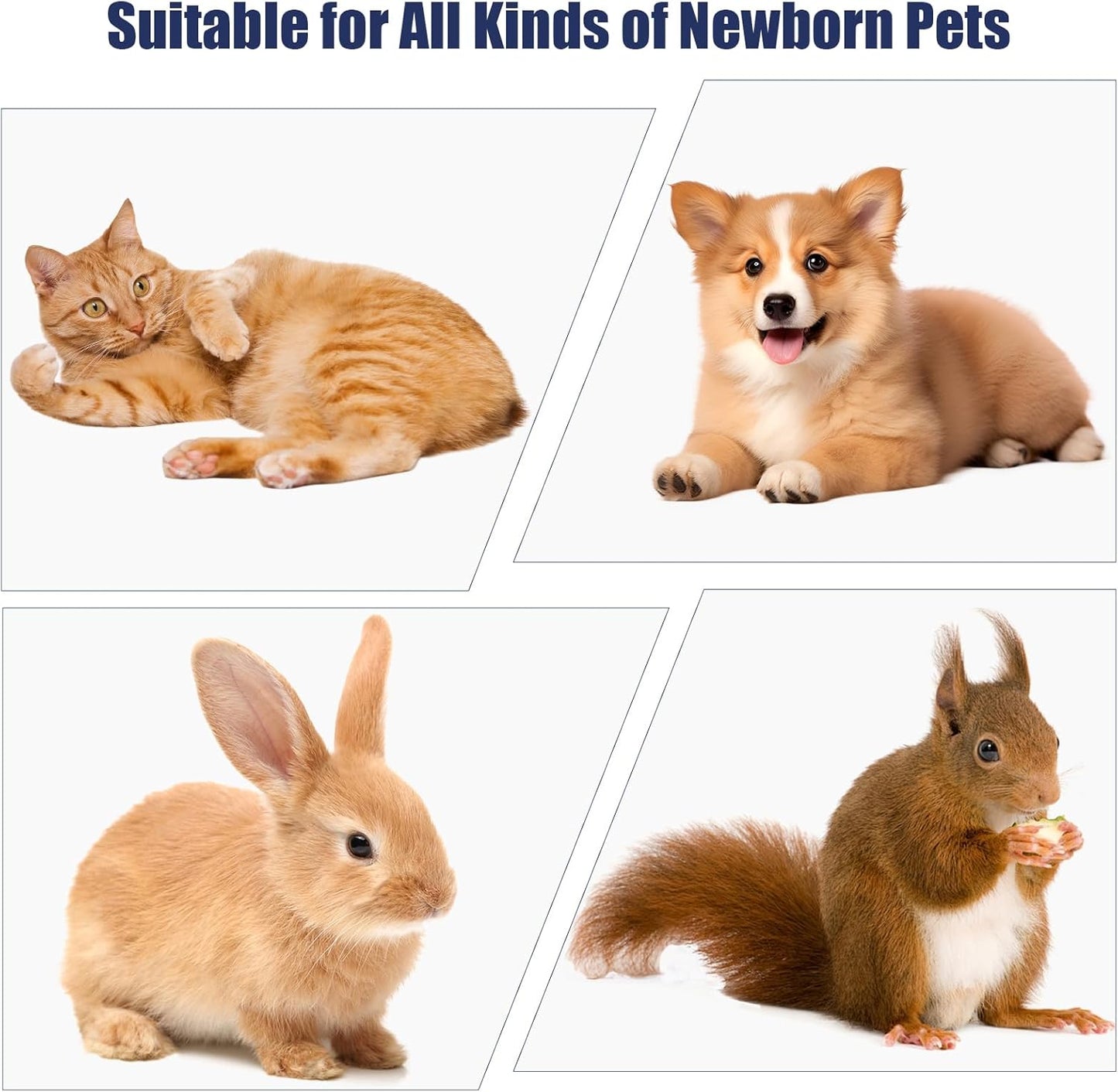 Newborn Puppy Kitten Small Animal Sterile Mucus Extractor Suction Catheter, Animal Kid Puppy Kitten Tube Feeding Kit 8 FR Red Feeding Tubes with 20ml Syringes and Bulb Aspirator