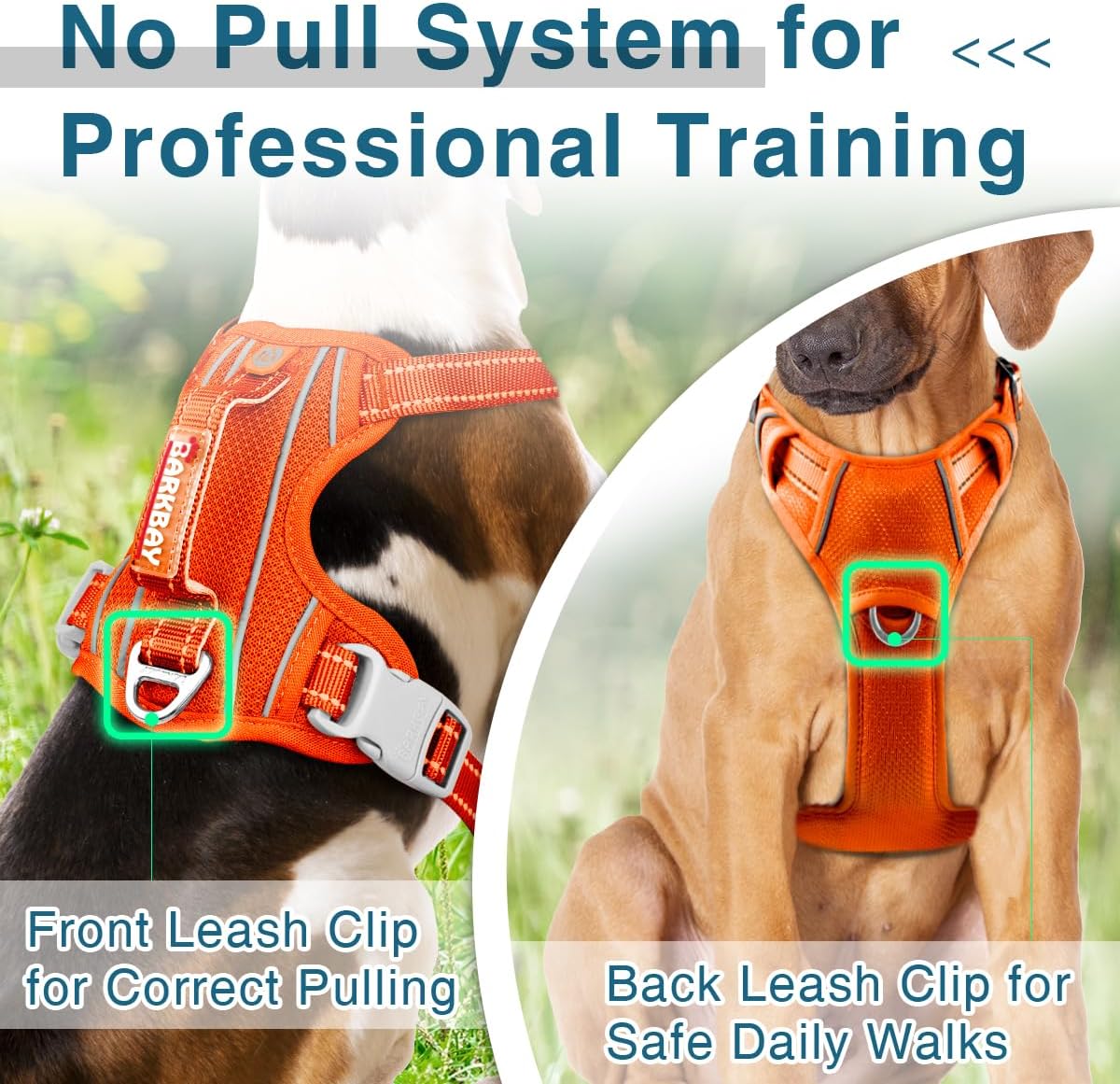 BARKBAY Dog Harness No Pull with ID Tag Pocket - Heavy Duty, Reflective, Easy Control for Large Dogs(Orange,XL)