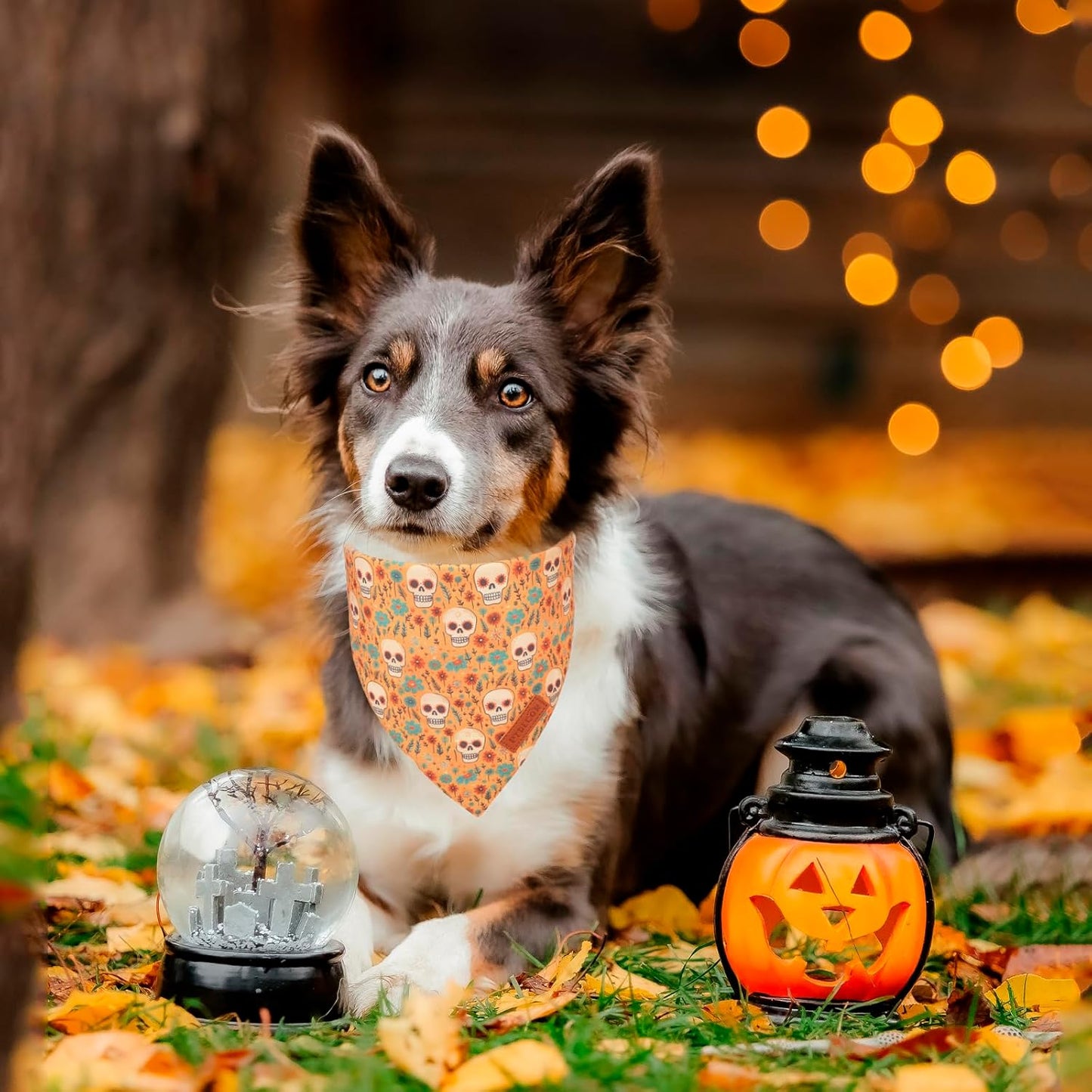 PTDECOR Halloween Dog Bandana, Skeleton Pumpkin Reversible Holiday Dog Scarf, Triangle Halloween Bandanas for Medium Large Dogs Pets (Large)