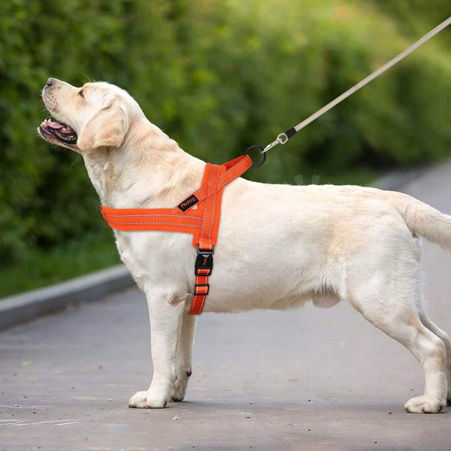 Didog No Pull Dog Harness with Soft Mesh Padded,Reflective & Quick Fit Light Weight Dog Strap Vest Harness,Easy for Walking Training (M:Chest 21-26", Orange)