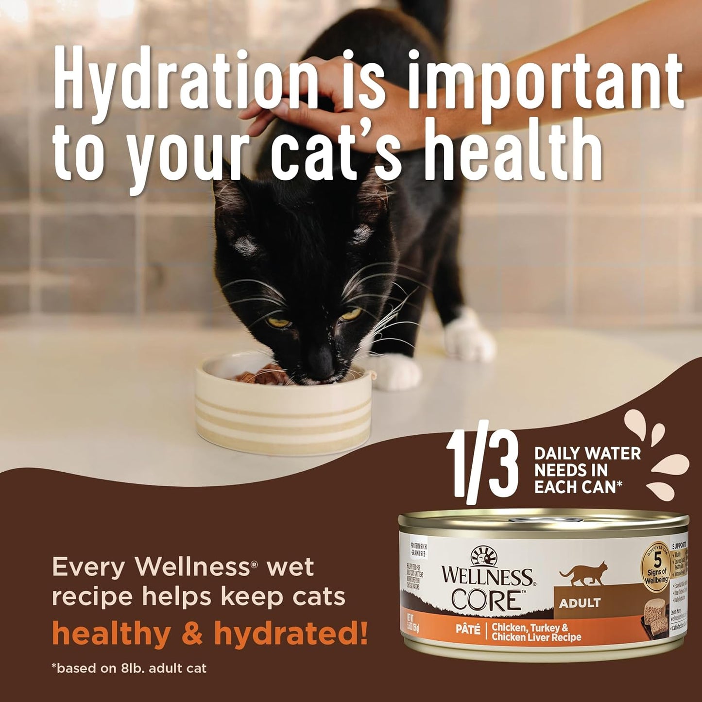 Wellness CORE+ Digestive Health Pate Adult Wet Cat Food, Natural, Protein-Rich, Grain Free, 3 Ounce, 12 Pack (Turkey)