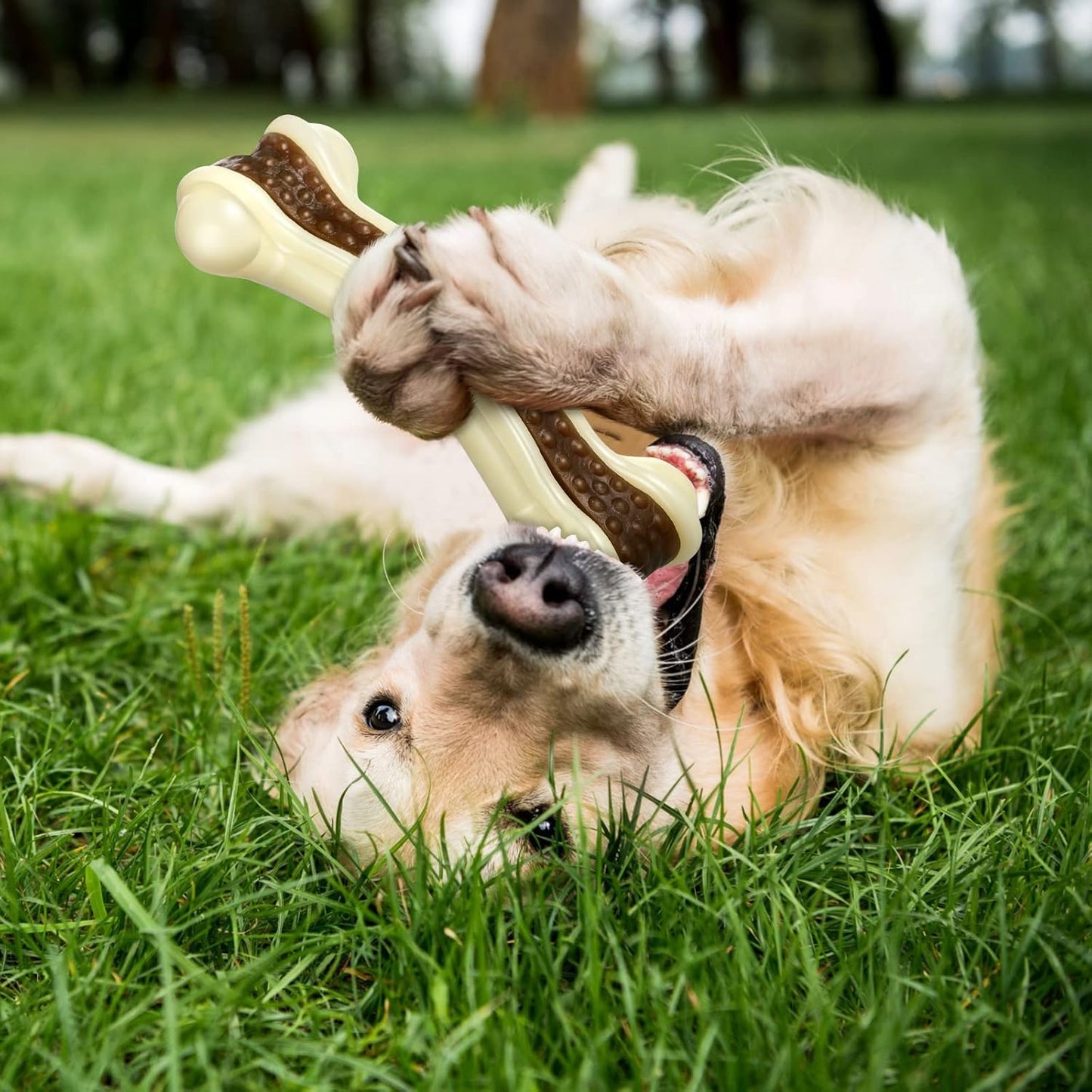 Sosation 6 Pcs Dog Toys for Aggressive Chewers Nylon Beef Flavor Bones Tough Puppy Teething Toys Puppy Chew Bones for Large Medium Small Breed Dogs Puppies Pets Chew Toys(Large Medium)