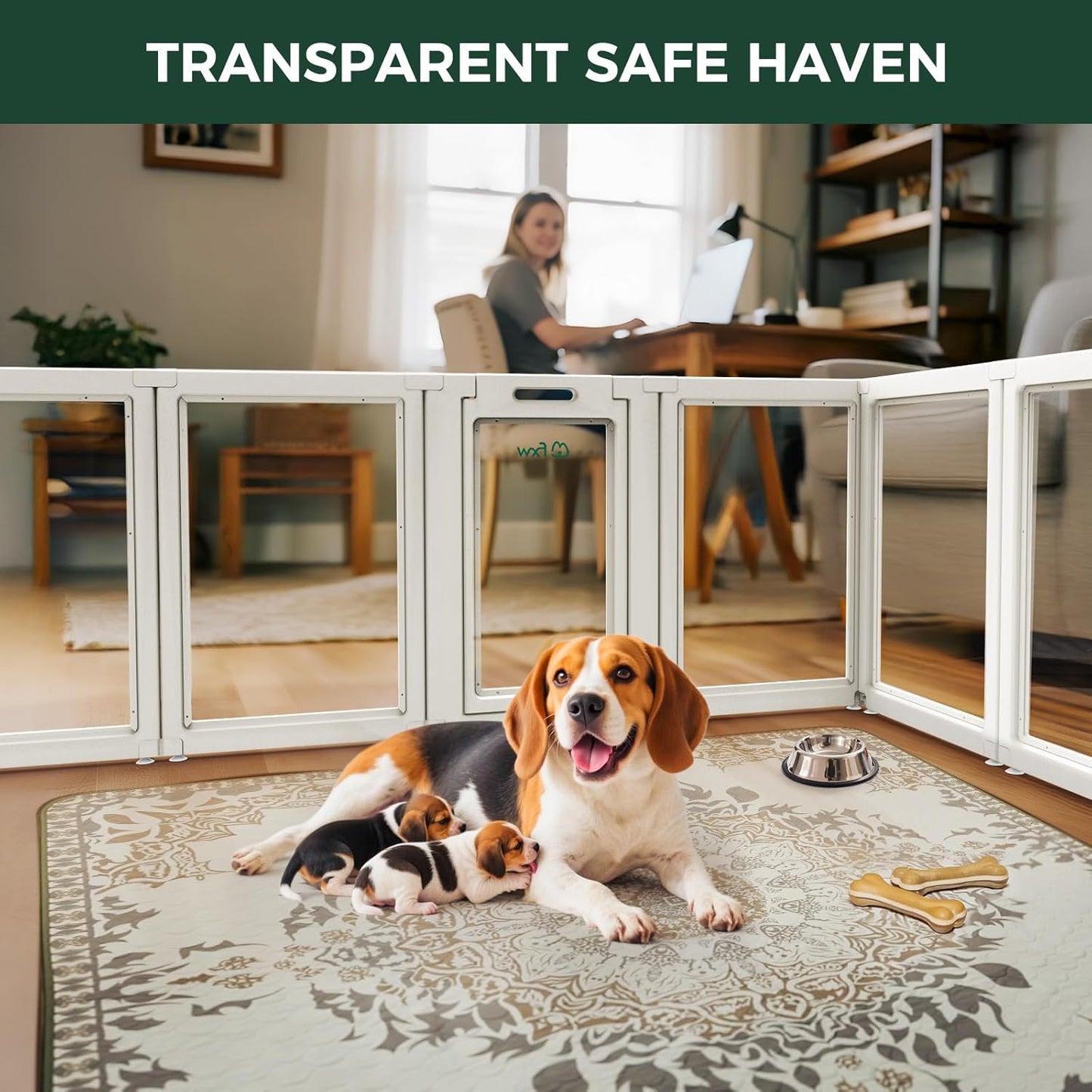 FXW AuraSpace Acrylic Indoor Unleashed Dog Playpen for Medium Dogs, 35 Inch, 8 Panels, White