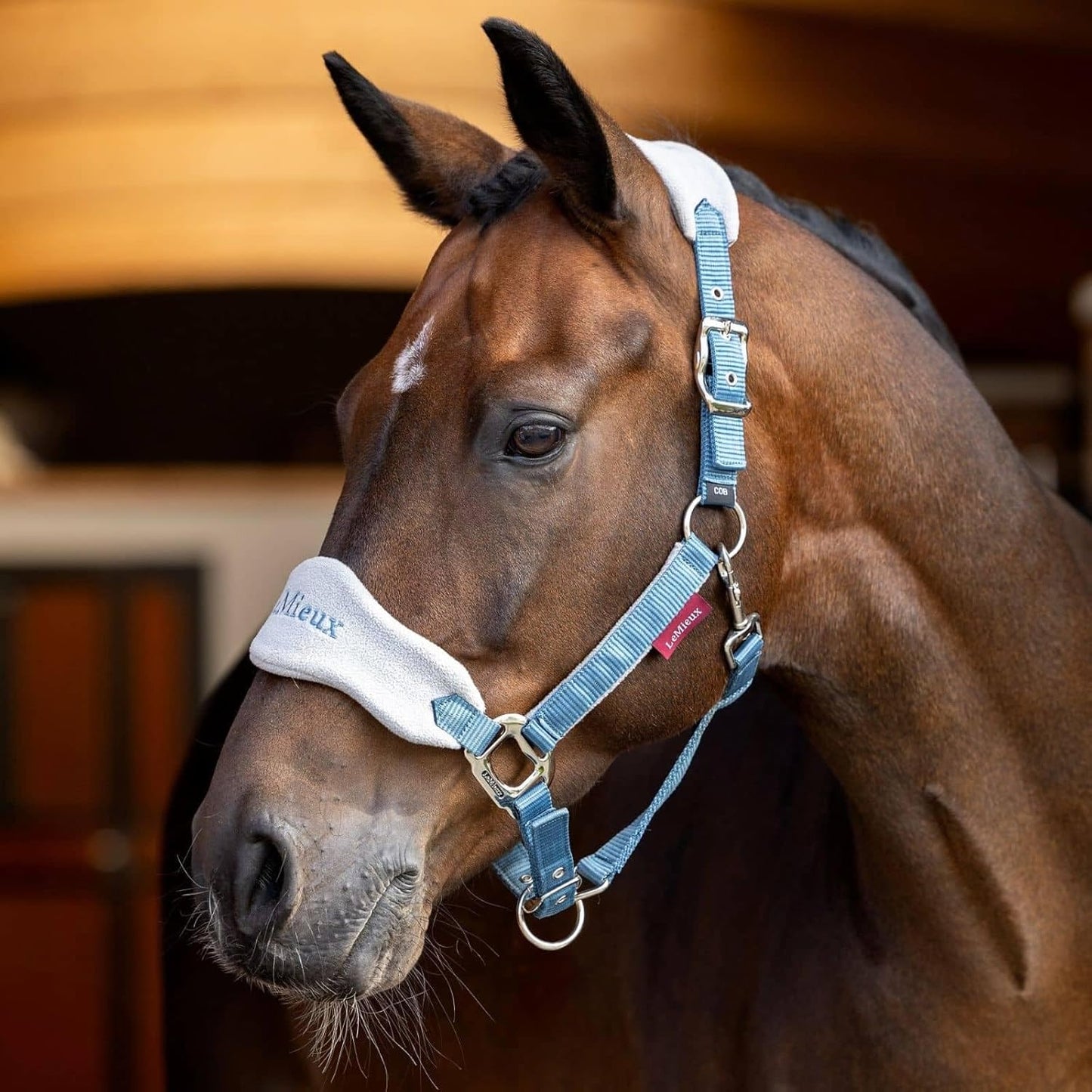 LeMieux Vogue Fleece Headcollar - Halter & Leadrope - Extra Padding, Adjustable at Curb and Poll Strap
