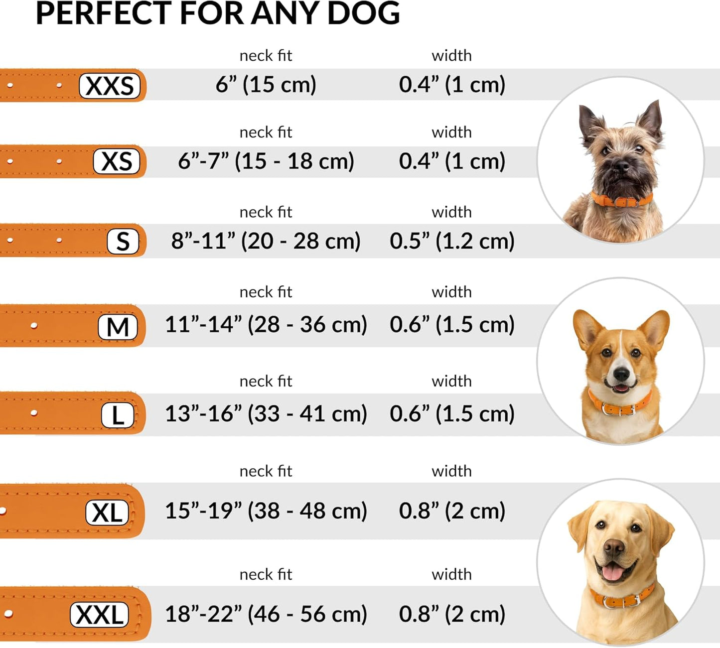 CollarDirect Rolled Leather Dog Collar, Soft Padded Round Puppy Collar, Handmade Genuine Leather Collar Dog Small Large Cat Collars 13 Colors (8-11 Inch, Orange Textured)