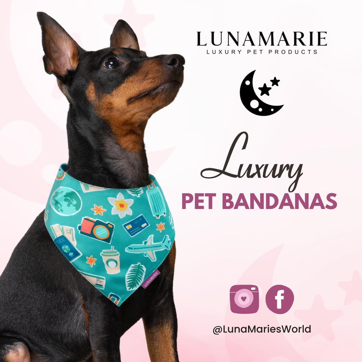LunaMarie - Luxury Pet Birthday Bandanas -Premium & Silky Poly Fabric | 100% Handmade | Custom Shape Dual Layered (Pawsport Club, X-Small)