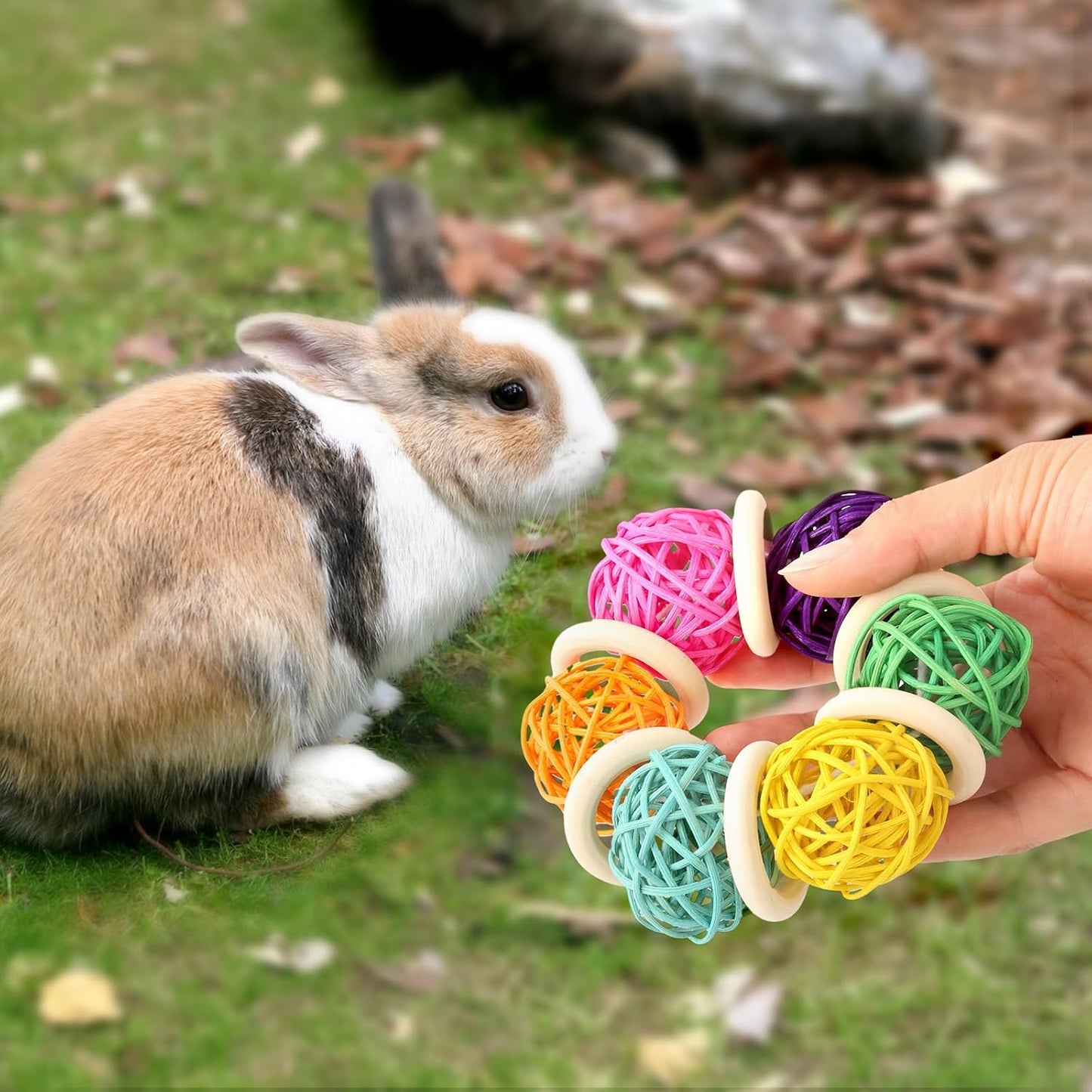 2 Pcs Natural Grass Chew Balls for Rabbits, Chinchillas, Hamsters & Mice - Safe Dental Health Toys for Teeth Grinding, Chewing & Dental Care, Small Animal Enrichment Chew Toys