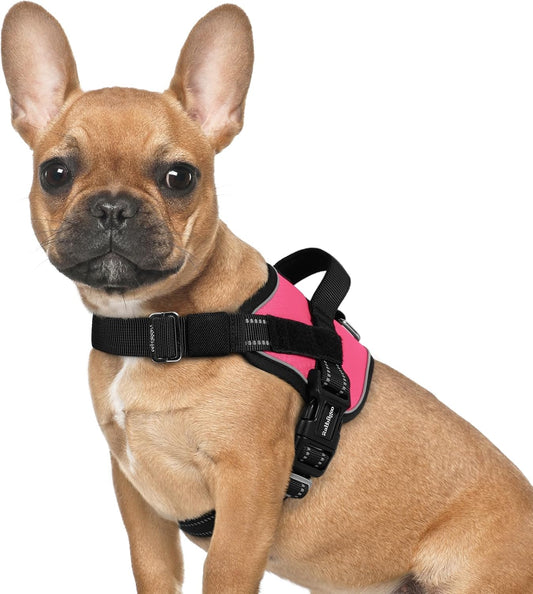rabbitgoo Dog Harness for Small, Easy On Pet Vest with One Buckle, No Pull Adjustable Service Harness with D-Ring & Handle, Reflective for Safety Walking, Training, Pink, S