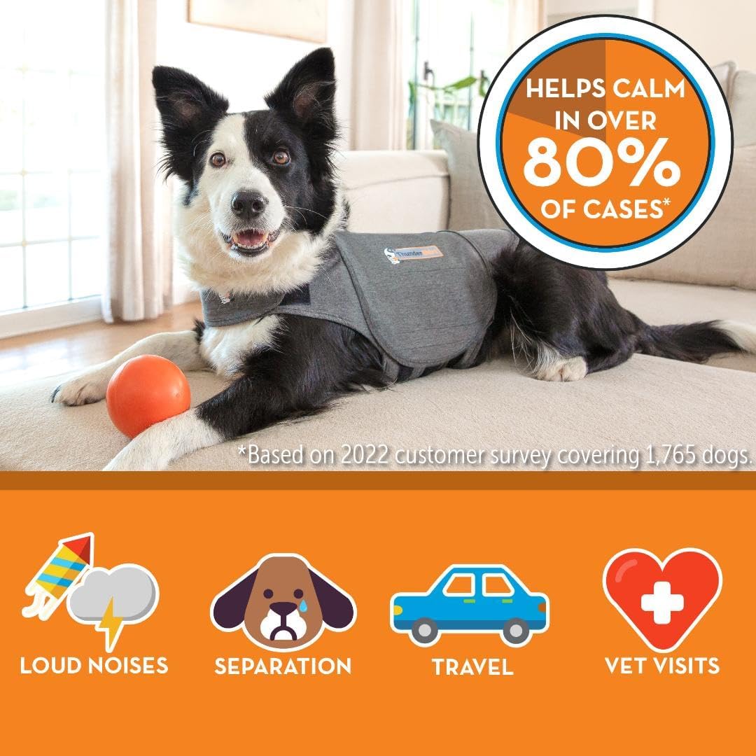 ThunderShirt for Dogs, X Large, Heather Gray Classic - Dog Anxiety Relief Calming Vest