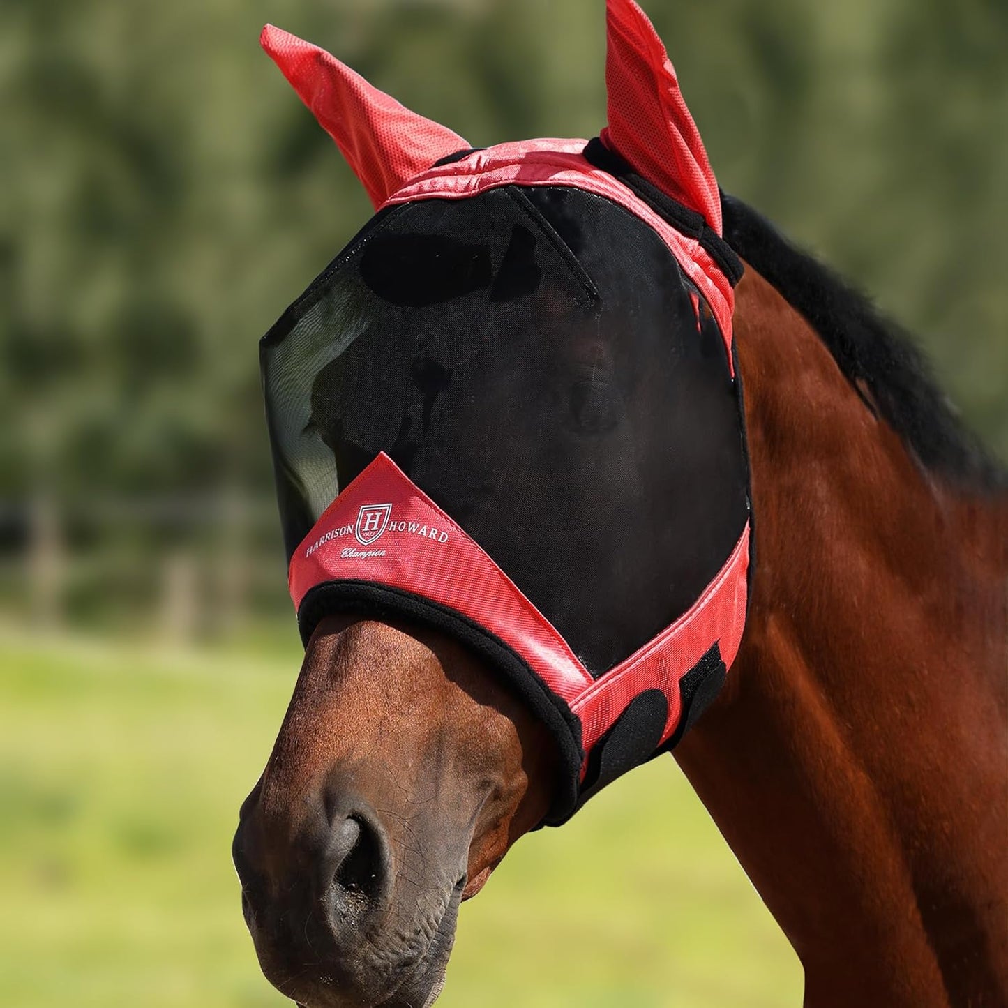 Harrison Howard Pro Luminous Horse Half Face Fly Mask Large Eye Space with Ears UV Protection for Horse Coral Orange L