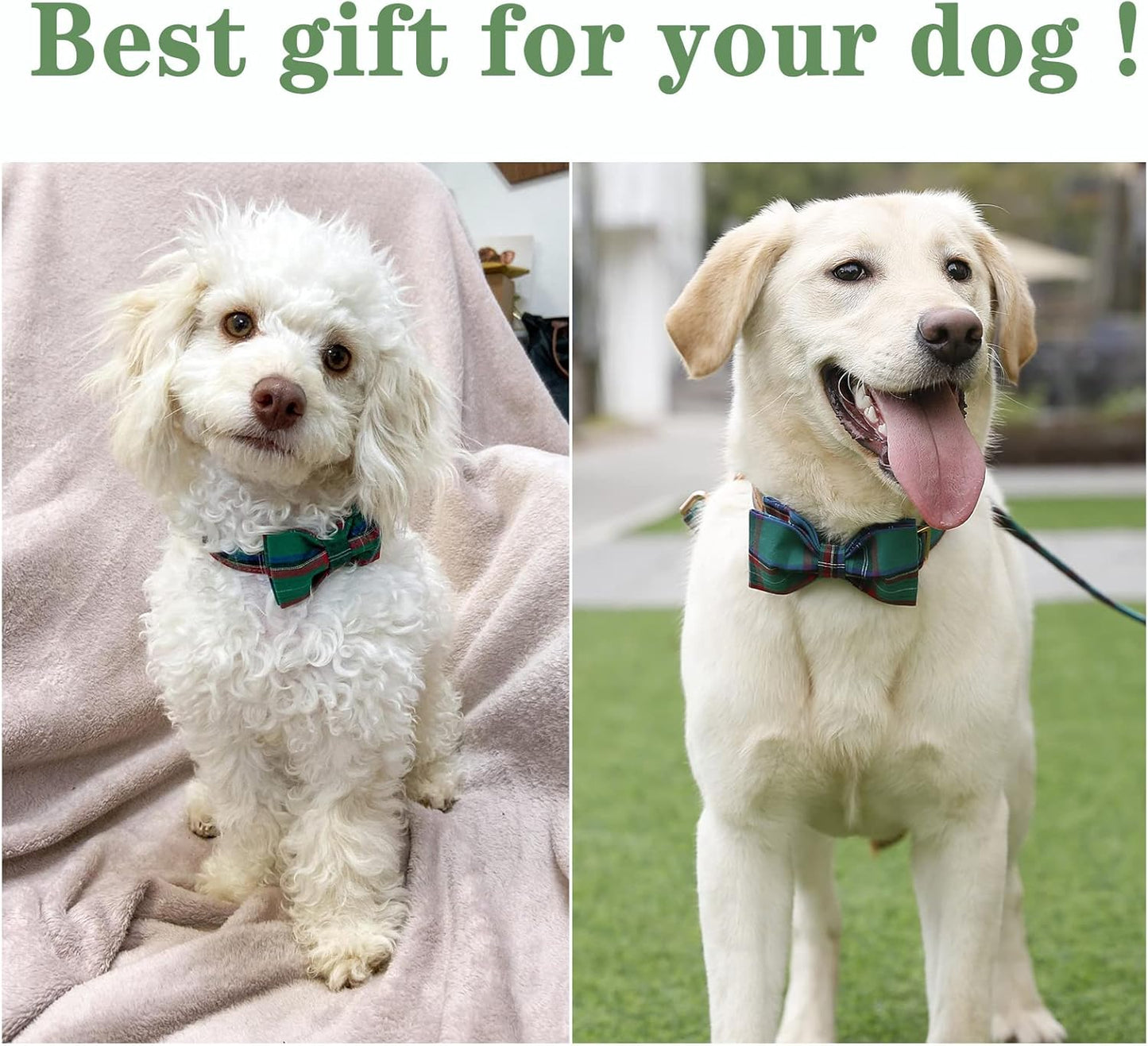 Unique style paws Dog Collar with Bow Tie Christmas Dog Collar for Small Medium Large Dogs with Adjustable Metal Buckle -M