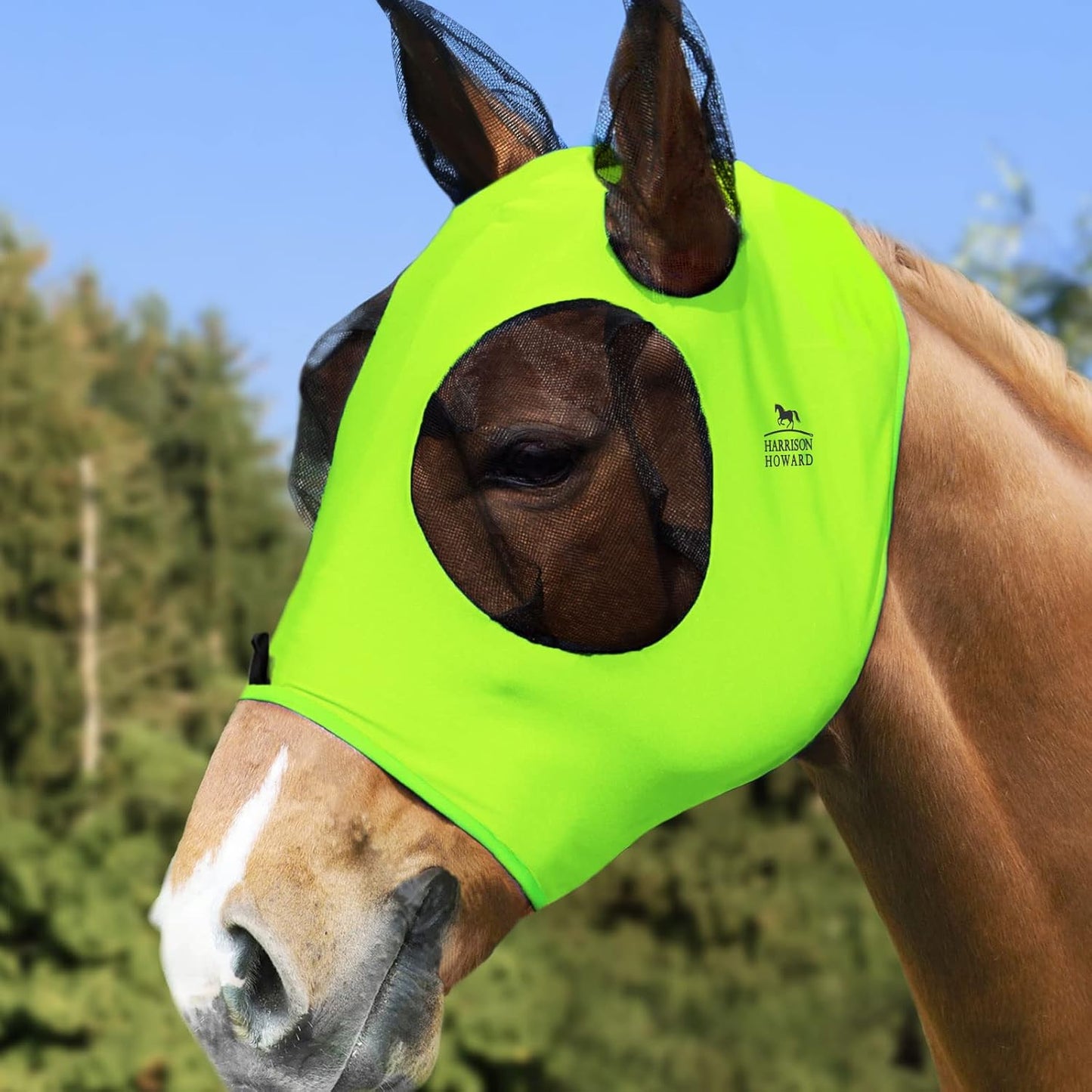 Harrison Howard Super Comfort Stretchy Fly Mask Large Eye Space with UV Protection Soft on Skin with Breathability Fluro Lime Full Size