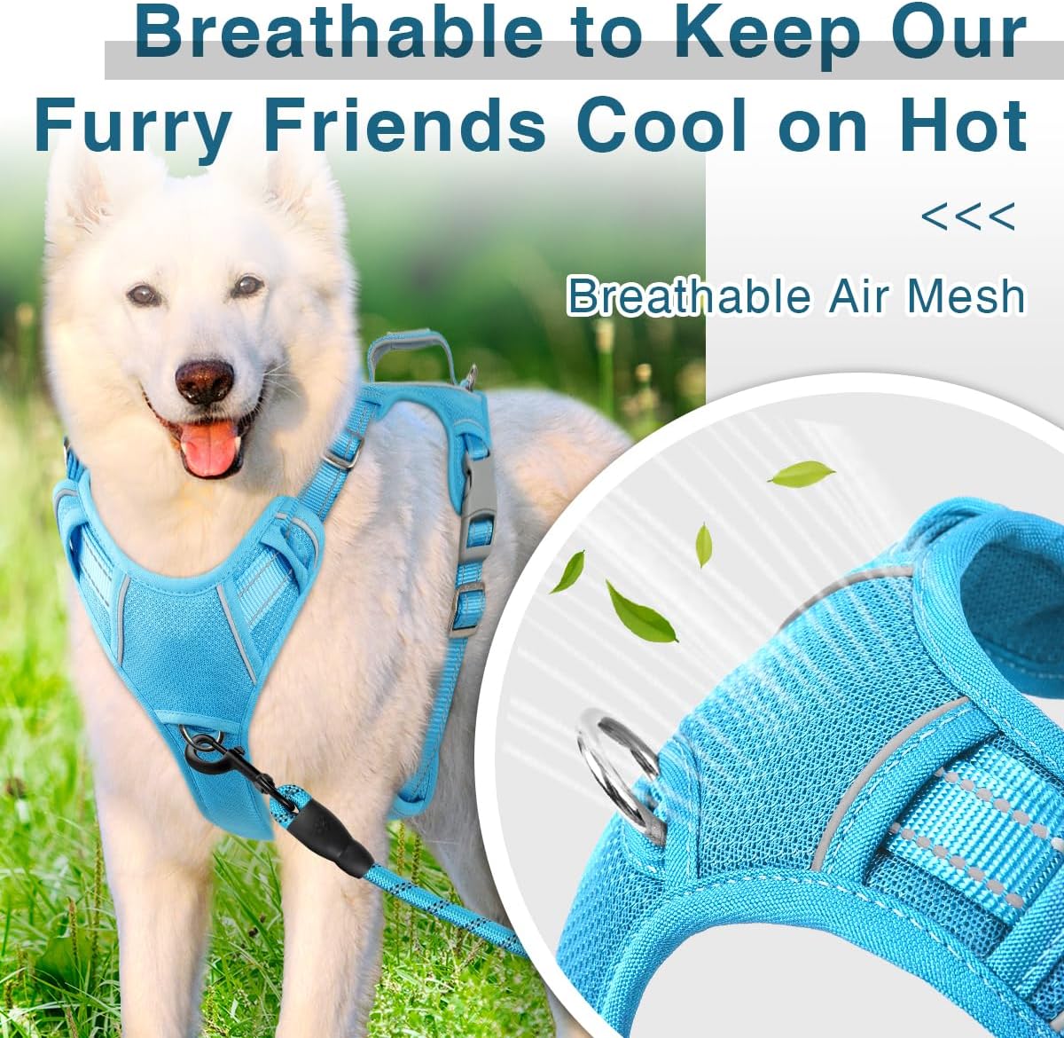 BARKBAY Dog Harness No Pull with ID Tag Pocket - Heavy Duty, Reflective, Easy Control for Large Dogs(Blue,S)