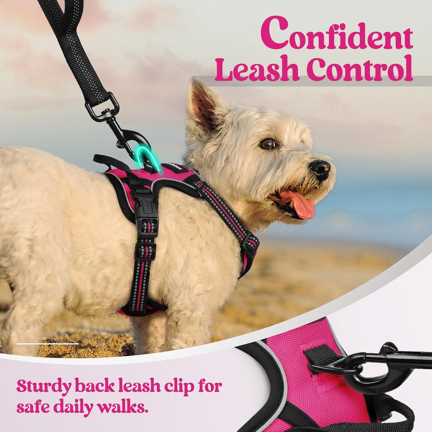 rabbitgoo Dog Harness No Pull with 2 Leash Clips, Adjustable Soft Padded, Reflective Oxford No Choke Pet Vest with Easy Control Handle for Puppy, Hot Pink, XS