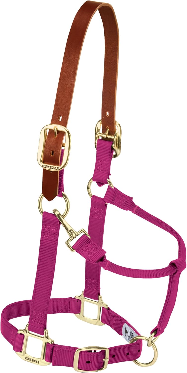 Weaver Equine Breakaway Horse Halter, Supple Leather Crown, Adjustable Chin & Throat Snap Halters for Horses, Equine Tack