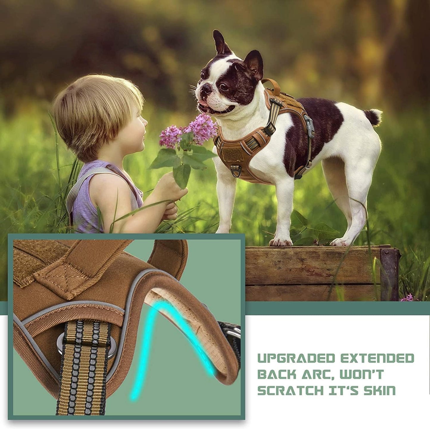 BUMBIN Dog Harness, Tactical XS, Brown, No Pull, Adjustable, Reflective, Soft Cotton, for Small Dogs Training, Fit Smart