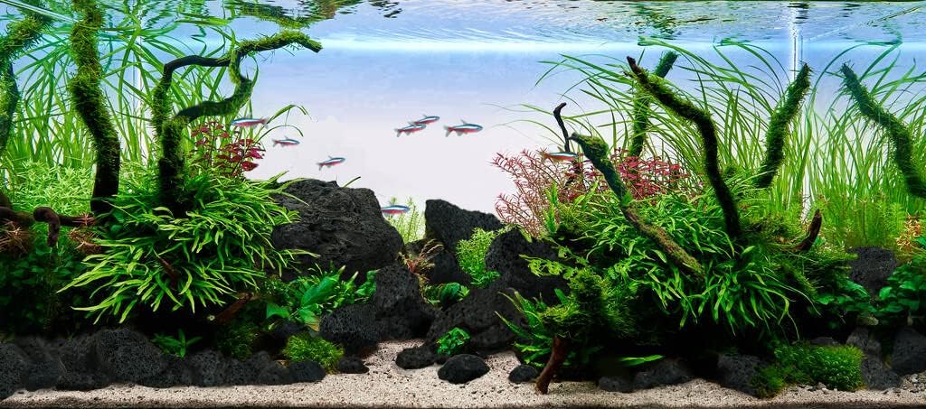 LANDEN Black Lava Stones (16lbs,3~10inch,11pcs) for Aquascaping Terrariums, Paludarium, Vivariums, Reptile and Amphibian Enclosures