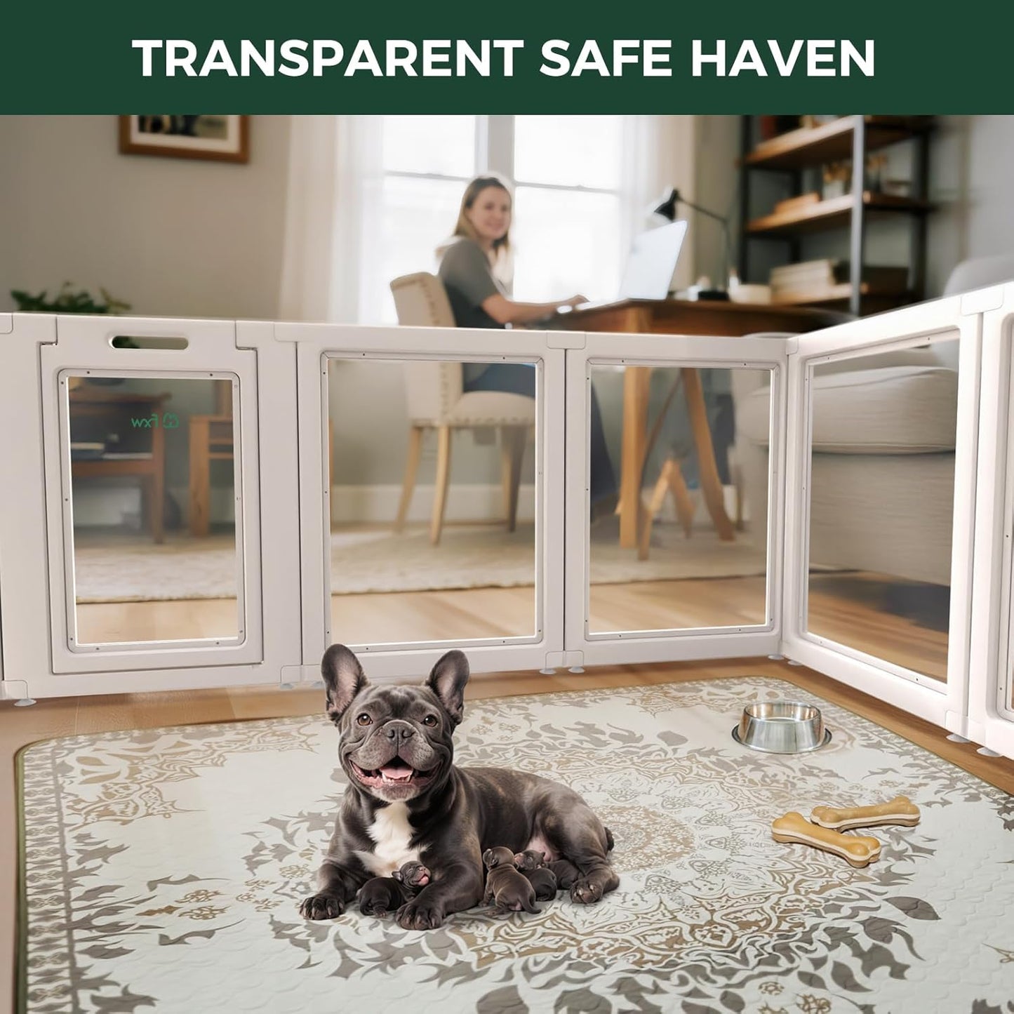 FXW AuraSpace Acrylic Indoor Unleashed Dog Playpen for Small and Medium Dogs, 30 Inch, 16 Panels, White