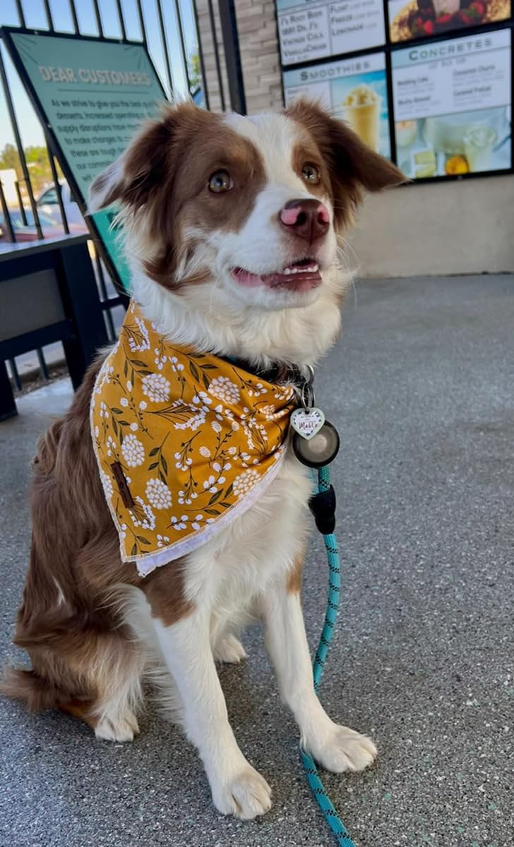 Lionet Paws Flower Dog Bandana,Fabric Yellow Dogs Kerchief for Small Medium Large Dogs,Dog Cotton Triangle Bibs Scarf for Girl Boy